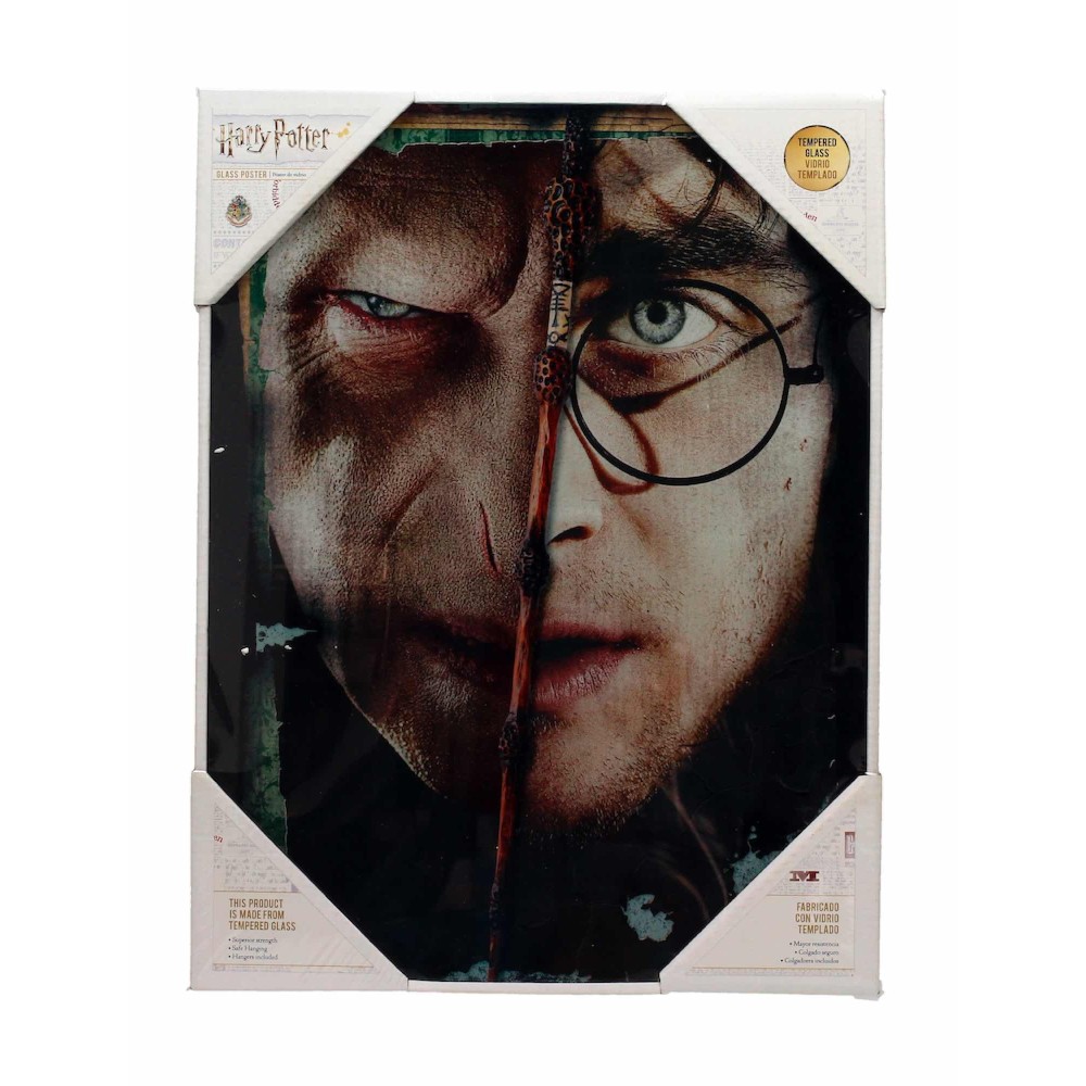 SD TOYS HARRY POTTER HALF FACE VOLDEMORT HARRY GLASS POSTER IN VETRO 40 X 30 CM