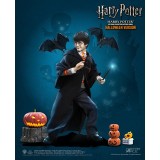STAR ACE HARRY POTTER HALLOWEEN VERSION 1/6 SCALE COLLECTIBLE ACTION FIGURE