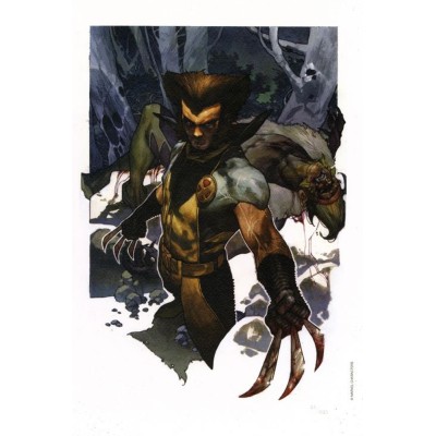 WOLVERINE AND SABERTOOTH LYTHOGRAPHY LITOGRAFIA BY SIMONE BIANCHI 43 X 33 CM