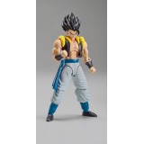 DRAGON BALL FIGURE RISE SUPER SAIYAN GOGETA LIMITED MODEL KIT FIGURE BANDAI