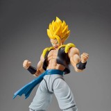DRAGON BALL FIGURE RISE SUPER SAIYAN GOGETA LIMITED MODEL KIT FIGURE BANDAI