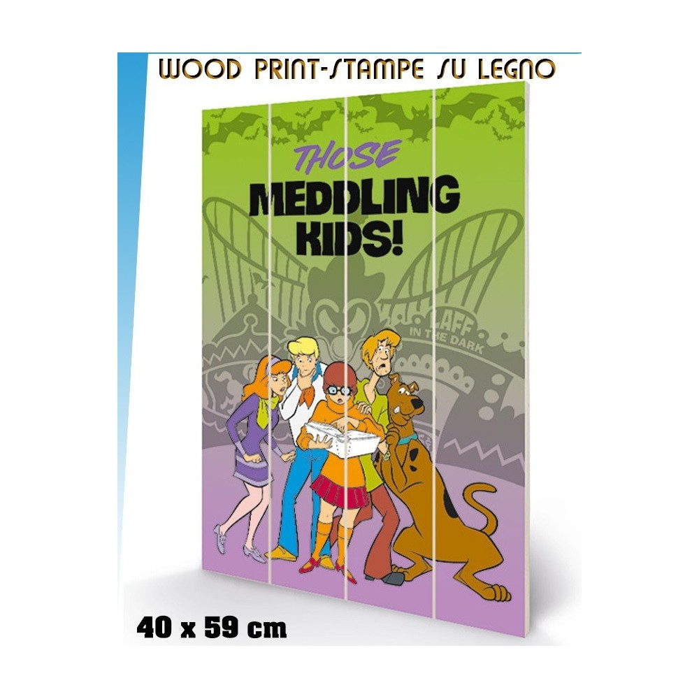 PYRAMID INTERNATIONAL SCOOBY DOO MEDDLING KIDS WOOD PRINT STAMPA SU LEGNO 40 X 60 CM
