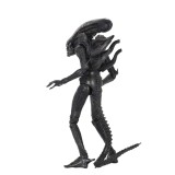 ALIEN ULTIMATE 40TH ANNIVERSARY BIG CHAP ACTION FIGURE NECA