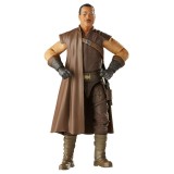 HASBRO STAR WARS THE MANDALORIAN THE BLACK SERIES GREEF KARGA ACTION FIGURE