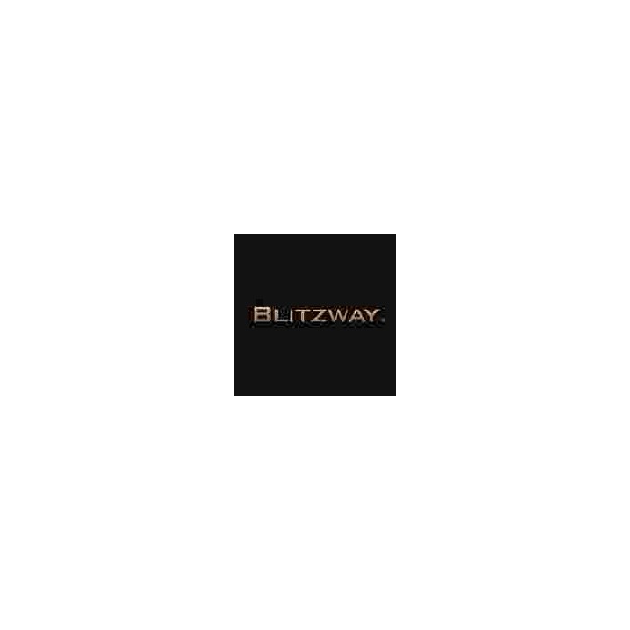 Blitzway statue e action figures shop | Games and Comics